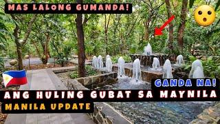 Ang Huling Gubat sa Maynila Lalong Gumanda! Tourist Spot na Ngayon! 