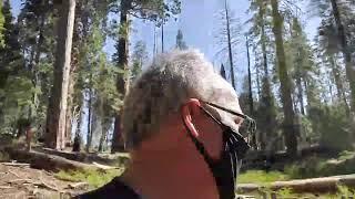 Live from  Sequoia & Kings Canyon  National Park