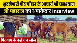 Gondal - Old Bloodline of Gir Cow || भुवनेश्वरी पीठ गोंडल आचार्य घनश्याम जी महाराज का Full Video