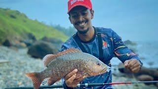 Catching Red snapper and Trevally from rocky coast / Goa fishing / India fishing