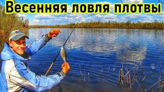 ПЛОТВА/ЛОВЛЯ ПЛОТВЫ ВЕСНОЙ НА ВОЛГЕ/ВЕСЕННЯЯ РЫБАЛКА/ПОПЛАВОЧНАЯ УДОЧКА/РЫБАЛКА В САМАРЕ/ВЕСНА/РЫБА