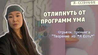 Скрытые убеждения — раз-отождествиться с Умом /Отрывок тренинга "ТВОРЕНИЕ ИЗ Я ЕСТЬ"