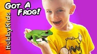 HobbyFrog Buys a Frog From Petco