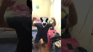 Talking Cow #shorts #funny #cow