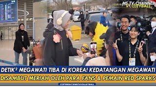 DETIK² MEGAWATI TIBA DI KOREAKEDATANGAN MEGAWATI DISAMBUT MERIAH OLEH PARA FANS & PEMAIN RED SPARKS