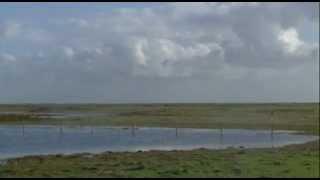 WadBlik promo Waddenacademie september 2012