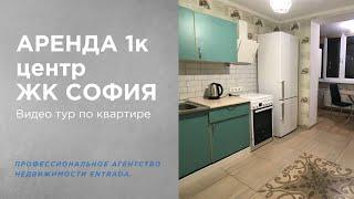 ВИДЕО тур. Аренда 1 ком. квартиры в центре ЖК София, Софиевская Борщаговка, ул. Толстого, 80.