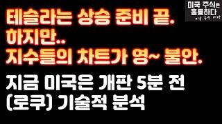 미국주식 증시만 받쳐주면 테슬라는 상승이다! 제발 증시야 올라라