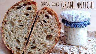 PANE con farina di GRANI ANTICHI