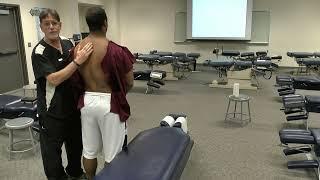 Mid Thoracic and Thoraco-Lumbar Assessment
