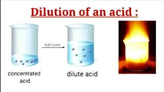 Dilution | How To Dilute A Concentrated Acid | Acids bases and salts Class 10