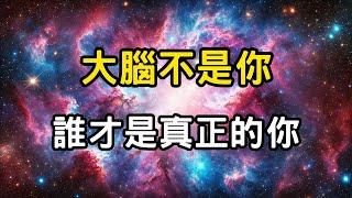 大腦不是你！誰才是真正的你？修行的最高境界！你不是你，如何找到「本來面目」？跳脫三界外，不在五行中。解鎖高維智慧 #開悟 #覺醒 #靈性成長