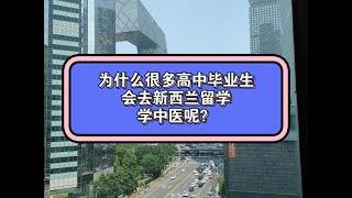 为什么很多高中毕业生，会去新西兰留学学中医呢？背后的原因是什么呢