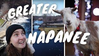 DAY TOUR IN NAPANEE ONTARIO | Avril Lavigne, Wine Tasting, Historic Sites, Goats!