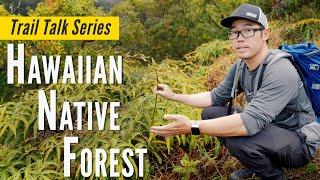 Hawaiian Native Forest | Trail Talk  with Ryan Chang