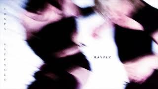 Mayfly - Chats sauvages (cover)