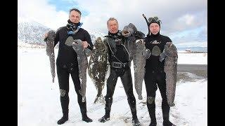 РЫБАЛКА И ПОДВОДНАЯ ОХОТА В НОРВЕГИИ.Wild Fishing Norway