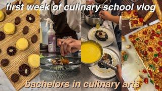 come to culinary school with me | week in my life as a culinary student | bachelors in culinary arts