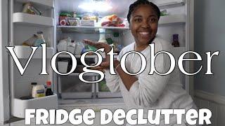 Vlogtober Day 5 Fridge Declutter + Organizers