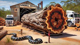 Massive Sawmills Cutting Trembesi Logs in London ‼ Incredible Woodworking Power in Action