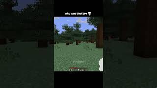Minecraft White Enderman Moment
