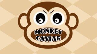 Monkey Caviar at Charlotte Comic Con 2016