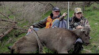 Seb's first hunt & first deer