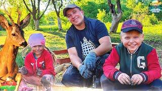 СПУСТЯ ГОДА ХУТОР СНОВА ЗАПЕЛ ДЕТСКИМИ ГОЛОСАМИ. БОЧКА ДЛЯ ТЕПЛОГО ПОЛИВА. ПАСЫНКОВАНИЕ ТОМАТОВ.