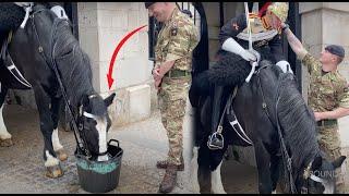 TOUCHING MOMENTS: King's Horse makes Trooper SMILE as  He brings out WATER to the Thirsty Horse.