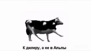 ПОЛЬСКАЯ КОРОВА ПЕРЕВОД!!!!! (полная версия);)