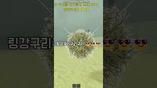 죽음의 모래  #roblox #로블록스 #알고리즘