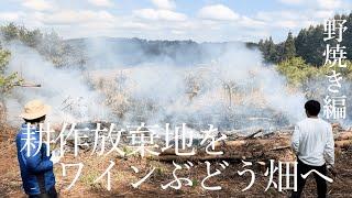 【野焼き】耕作放棄地をワインぶどう畑にします！Part1