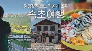 [Sokcho Travel] Amazing place in South Korea | Sokcho Restaurant | Sokcho Cafe | Goseong Delphino