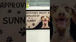 Custom Photo Visitors Must Be Approved By This Dog | Personalized Doormat