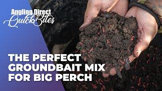 How To Make The Perfect Groundbait Mix For Big Perch - Predator Fishing Quickbite