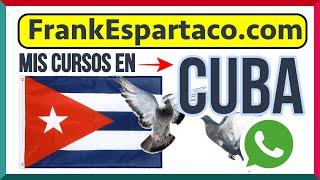 CUBA Todos mis CURSOS ¡¡DISPONIBLES!! Suscríbete y disfruta de uno GRATIS.