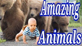 AMAZING ANIMAL MOMENTS | Caught on Tape