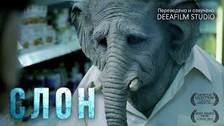 Короткометражный фильм «Слон» | Озвучка DeeaFilm