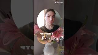 напиши мне, чтобы вместе жить в Благодати по Библии #салтаненко #любовь #благодать