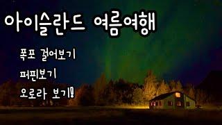 아이슬란드 여름 오로라 만나기(퍼핀,블랙모래비치,주상절리,오로라,렌터카)