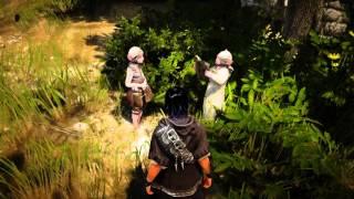 Black Desert озвучка вне диалогов