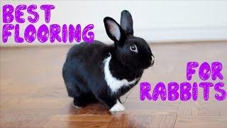 The Best Flooring For Rabbits