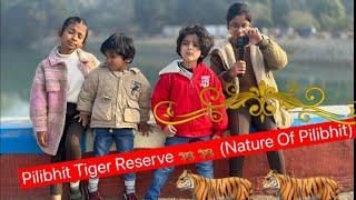 Pilibhit Tiger Reserve and Bifurcation