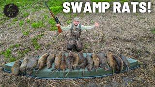 Hunting Invasive SWAMP RATS!