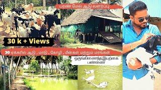 Integrated Goat farming with poultry and fish farming in tamilnadu | Its​ all about| EP 72