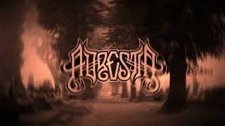 Adrestia - The More I See, The Less i Believe [OFFICIAL LYRIC VIDEO] (2024 - Crust Punk/Death Metal)