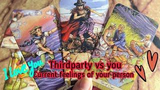 Third party vs you: Current feelings of your person  Thirdparty tarot reading