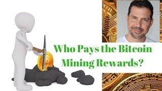 Who Pays the Bitcoin Mining Reward? - George Levy