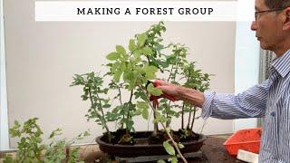 Making a Forest Group