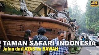  Walk Around TAMAN SAFARI INDONESIACIsarua - Puncak - Bogor [Animal Theme Park] - West Java